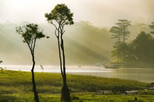 G3198876b580b814e5ddb8a683e5289bf6a3ddfbbb0011b51bf34067c5a0eeb0ff9ba37c25c365e523feb7ac405aedcffb7b65d7e15fb1b1708bf83afdb984c7d 640