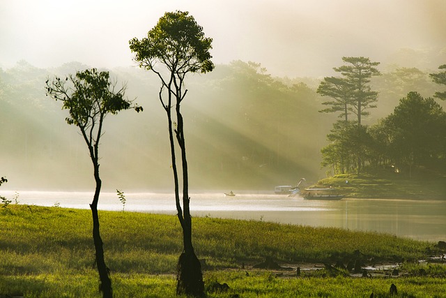 Ga5852316ee9c0fc91e820663141007edca525633d36e9c8e1cafd696123e446448245d93e4cc1de5c60fdf5720d362e21b4c9a8823f1b8166c11d229db4ea285 640