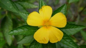 Gd96b7af131593c5db28dc802bf4343be17c9d95f581a515593cce5060603a2b6bb13c1c05a65b82e91f3d8fc5d888b8ee296cb00b84ef986d22e8892e73708e1 640