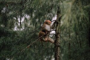 Gfd66b99d449ecfa64ca800f501cc2f15ef942a49d2c0aff39c8c9ca63d9551ec3c3a48d8e566343bfeda8c3822dcb028259225b2a4745e8f0576c369b352940e 640